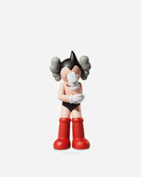 KAWS x VINYL FIGURE