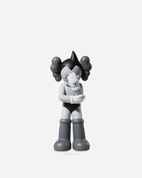 KAWS x VINYL FIGURE