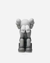 KAWS x VINYL FIGURE