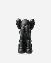 KAWS x VINYL FIGURE