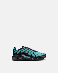 AIR MAX PLUS TN “AQUA”