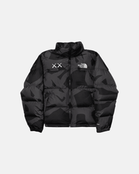 KAWS x THE NORTH FACE NUPTSE