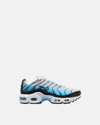 NIKE x AIR MAX PLUS TN “ICE”