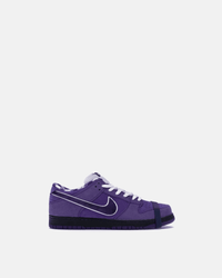 NIKE x CONCEPTS DUNK LOW SB “PURPLE LOBSTER”