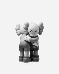 KAWS x VINYL FIGURE